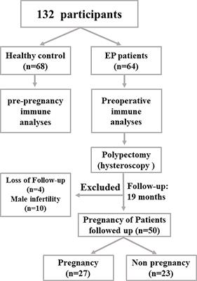 Circulating PD1+Vδ1+γδ T Cell Predicts Fertility in Endometrial Polyp Patients of Reproductive-Age